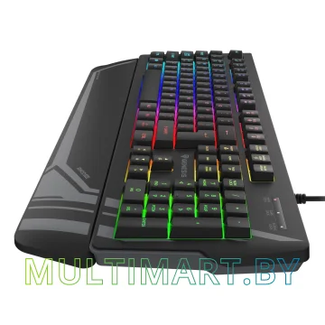 Клавиатура Genesis Rhod 350 RGB картинка 3